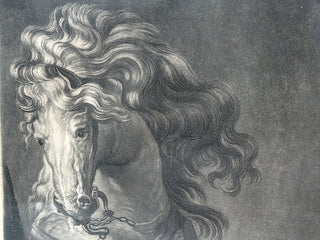 Antique 1777 Mezzotint Engraving — “A Horse’s Head” by Richard Earlom, after Van Dyck