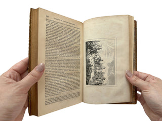Antique Leather-Bound Volumes: Life of Napoleon Bonaparte