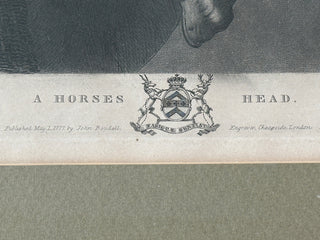 Antique 1777 Mezzotint Engraving — “A Horse’s Head” by Richard Earlom, after Van Dyck