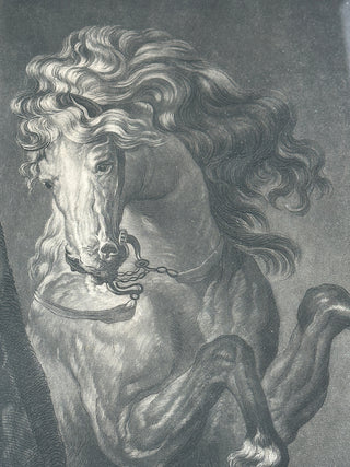 Antique 1777 Mezzotint Engraving — “A Horse’s Head” by Richard Earlom, after Van Dyck