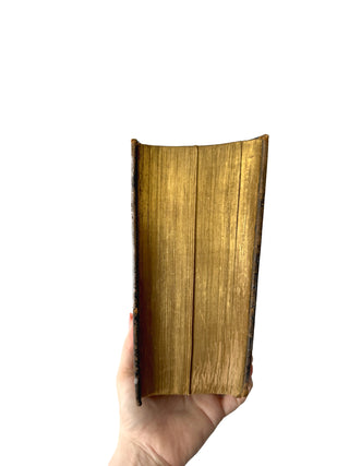 1733 German old & New Testament Bible Gauffered