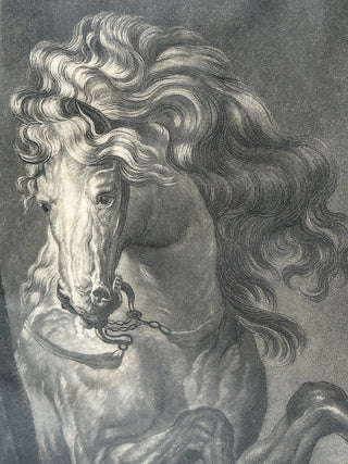 Antique 1777 Mezzotint Engraving — “A Horse’s Head” by Richard Earlom, after Van Dyck