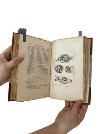 “The History of Pontefract in Yorkshire” by George Fox, 1827

First Edition | Fine Binding