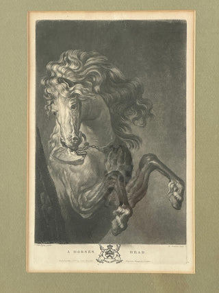 Antique 1777 Mezzotint Engraving — “A Horse’s Head” by Richard Earlom, after Van Dyck