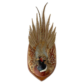 Vintage Ring-Necked Pheasant Wall Mount – Full Feather Spread on Wood Plaque