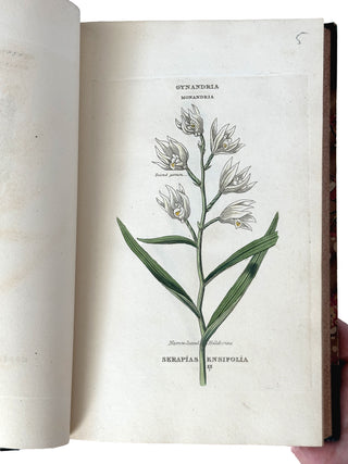 The Classes and Orders of the Linnaean System of Botany (1816)