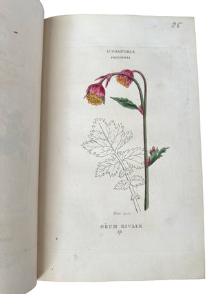 The Classes and Orders of the Linnaean System of Botany (1816)
