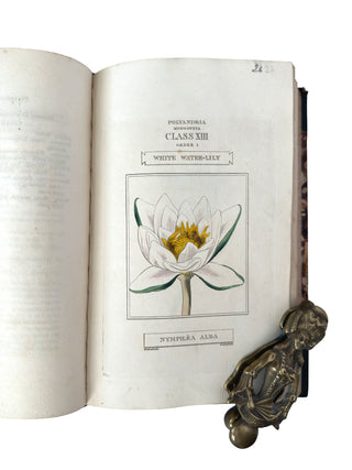 The Classes and Orders of the Linnaean System of Botany (1816)