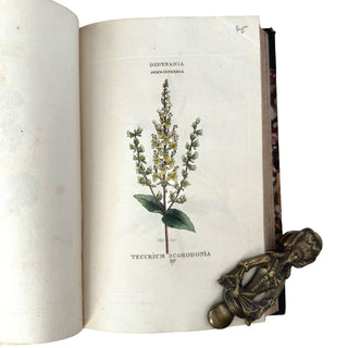 The Classes and Orders of the Linnaean System of Botany (1816)