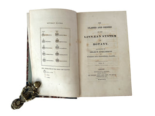 The Classes and Orders of the Linnaean System of Botany (1816)