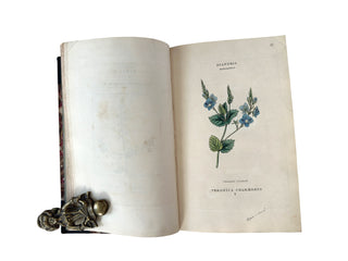 The Classes and Orders of the Linnaean System of Botany (1816)