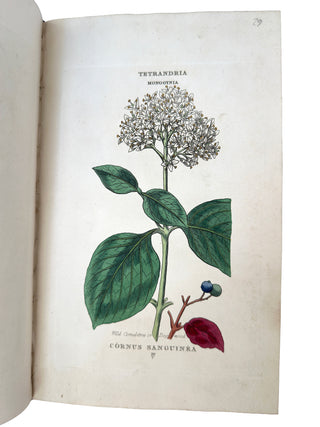 The Classes and Orders of the Linnaean System of Botany (1816)