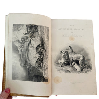 The Art of Deer-Stalking, William Scrope, First Edition, London 1838, Finely Bound by Tout & Sons