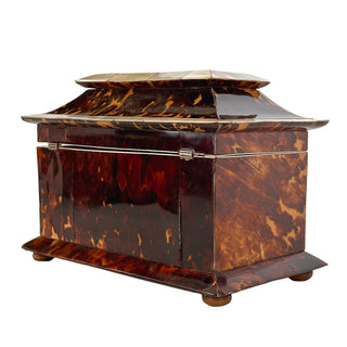 Early 19th Century English Tortoiseshell and Mother of Pearl Tea Caddy circa 1820-1840
