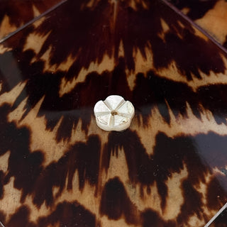 Early 19th Century English Tortoiseshell and Mother of Pearl Tea Caddy circa 1820-1840