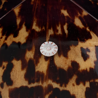 Early 19th Century English Tortoiseshell and Mother of Pearl Tea Caddy circa 1820-1840