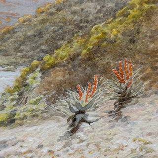 Late 19th Century Watercolor Desert Landscape, Signed, Continental or British, circa 1880–1900
